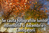 Se cauta fotografiile lunilor noiembrie si decembrie - Castigatorii
