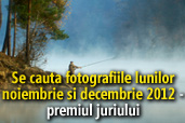 Se cauta fotografiile lunilor noiembrie si decembrie 2012 - Castigatorii premiului juriului