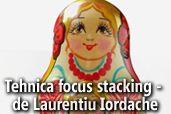 Tehnica focus stacking - de Laurentiu Iordache