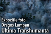 Ultima Transhumanta - Expozitie foto Dragos Lumpan