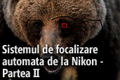 Tutorial foto: Sistemul de focalizare automata de la Nikon - Partea II