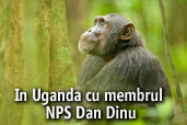 In Uganda cu membrul NPS Dan Dinu