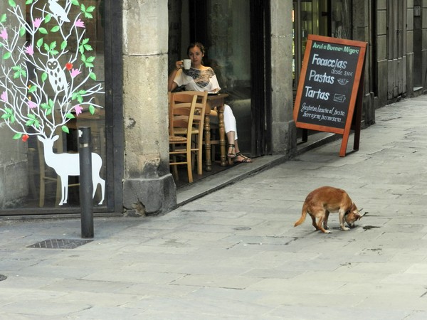 Nikon COOLPIX P500: SUNT ghid de calatorie la Barcelona, poza 8