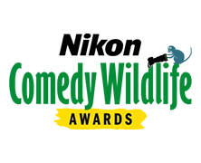 The Comedy Wildlife Awards 2025 - Concurs, in colaborare cu Nikon 