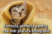 Formula perfecta pentru cea mai placuta fotografie