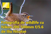 Fotografia de wildlife cu Nikon 200-500mm f/5.6, de Iliu Nicolae