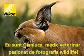 Eu sunt Gianluca. Medic veterinar pasionat de fotografie wildlife!