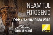 Neamtul Fotogenic - Wildlife si Istorie in Tinutul Zimbrilor