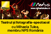 Teatrul si fotografia-spectacol, cu Mihaela Tulea, membru NPS Romania
