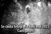 Se cauta fotografia lunii mai 2015 - Castigatorii