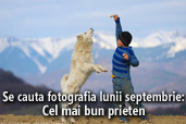 Se cauta fotografia lunii septembrie - Cel mai bun prieten