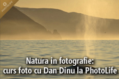 Natura in fotografie: curs foto cu Dan Dinu la PhotoLife