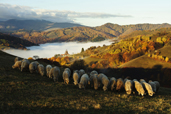 Concursul Romania prin ochii tai - Toamna in Romania. Castigatorii