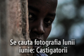 Se cauta fotografia lunii iunie 2015 - Castigatorii