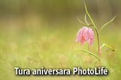 Tura aniversara PhotoLife