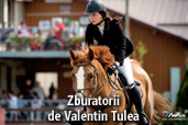 Zburatorii - de Valentin Tulea