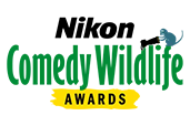 The Comedy Wildlife Awards 2025 - Concurs, in colaborare cu Nikon 