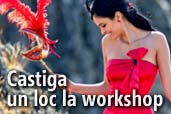 Castiga un loc la workshop-ul sustinut de Mircea Bezergheanu