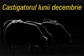 Castigatorul concursului Se cauta fotografia lunii decembrie