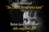 Se cauta fotografia lunii februarie: Alb-negru in doi