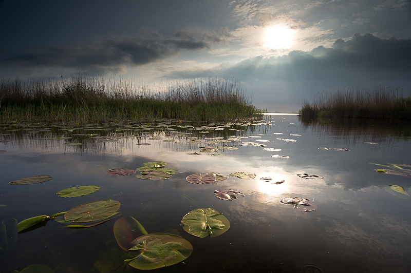 Romania Salbatica Delta Dunarii