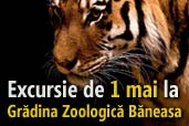 Excursie de 1 mai la Gradina Zoologica Baneasa