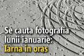 Se cauta fotografia lunii ianuarie: Iarna in oras