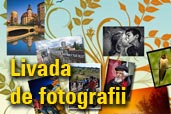 Livada de fotografii