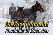 Muzica lemnului - Phototour in Bucovina