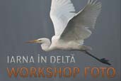 "Iarna in Delta" - workshop foto cu Dan Dinu
