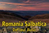 Defileul Jiului: Romania salbatica
