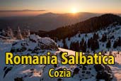 Romania Salbatica: Cozia