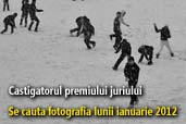 Se cauta fotografia lunii ianuarie 2012 - Castigatorul premiului juriului