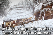 Workshop de fotografie in Apuseni cu Sorin Onisor si Bogdan Comanescu 