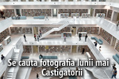 Se cauta fotografia lunii mai - Castigatorii