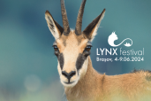 Morten Hilmer, ambasador Nikon, sustine un MASTERCLASS la Lynx Festival, Brasov