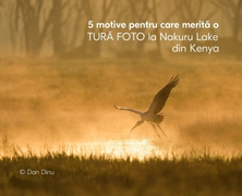 5 motive sa mergi intr-o tura foto la Nakuru Lake din Kenya
