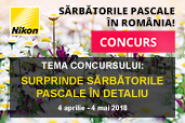 Concurs: Surprinde Sarbatorile Pascale in detaliu