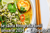 Se cauta fotografia lunii ianuarie 2014  -  Castigatorii