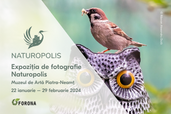 Expozitia de fotografie Naturopolis la Muzeul de Arta Piatra-Neamt