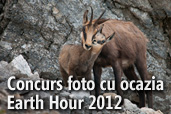 Castiga un training foto gratuit cu Dan Dinu cu ocazia Earth Hour!