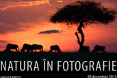 Natura in fotografie - curs foto cu Dan Dinu la Bucuresti