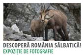 Romania Salbatica: Expozitie foto in Bucuresti