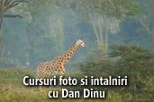 Cursuri foto si intalniri cu Dan Dinu