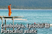 Cambodgia, Episodul III - Portocaliul asiatic