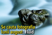 Se cauta fotografia lunii august: Fluid