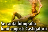 Se cauta fotografia lunii august - Premiile juriului si publicului