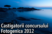 Castigatorii concursului Fotogenica 2012
