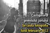 Se cauta fotografia lunii februarie 2012 - Castigatorul premiului juriului