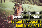 Se cauta fotografia lunii iunie 2012 - Castigatorul premiului juriului